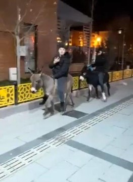 Yeni yılın en ilginç görüntüsü Bayburt'tan: Sıpalarla cadde turu cep telefonu kamerasında