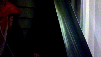 Wheels on the bus by cocomelon for kids