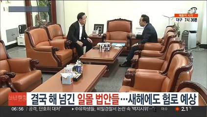 결국 해 넘긴 일몰 법안들…새해에도 험로 예상