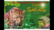 Visite au Zoo des Sables D ' Olonne  ( Vendée ) , Samedi 31 Décembre 2022