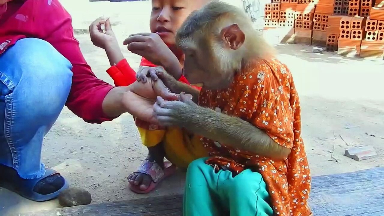 Real Life ! SokYaa & Friend Try Find A Lot Palm Seed & Eat At Home