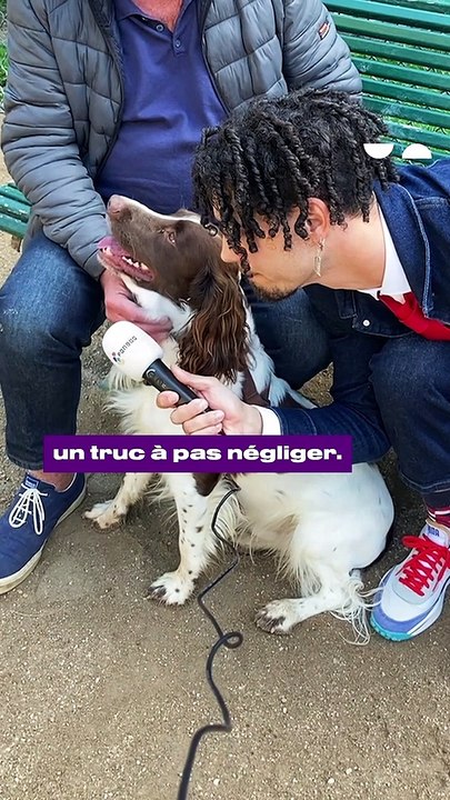 L'avis des animaux : l'hôpital