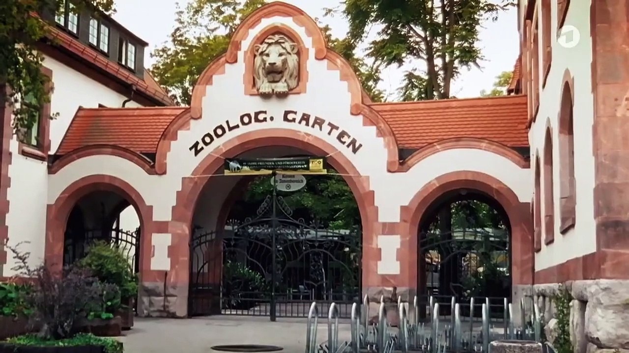 Tierärztin Dr. Mertens Staffel 6 Folge 6