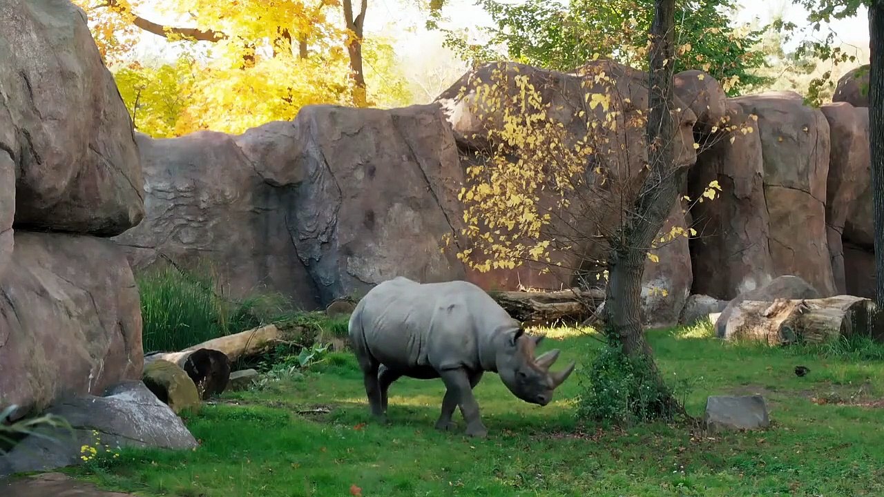 Tierärztin Dr. Mertens Staffel 6 Folge 10