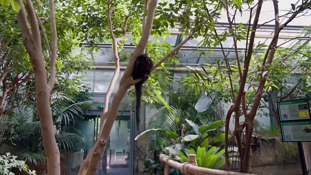 Tierärztin Dr. Mertens Staffel 7 Folge 2