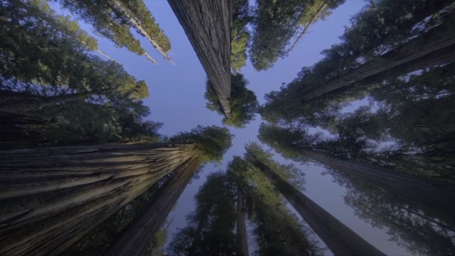 This National Park Has the World’s Tallest Trees — Plus Beaches, Fern-lined Canyons, and Great Camping
