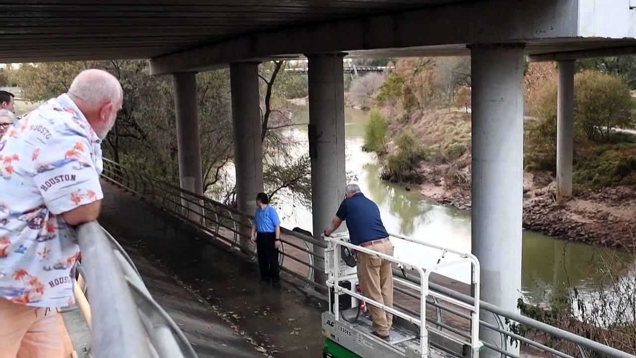 Morcegos são libertados no Texas