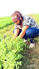 जासूस Wife ॥ shorts Comedy ॥  #shorts #ytshorts