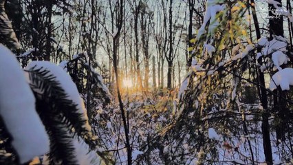 March of the Toy Soldiers - Mike Block | Instrumental Christmas Music With Peaceful Winter Ambience