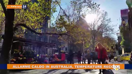 Tg News edizione del 29 dicembre