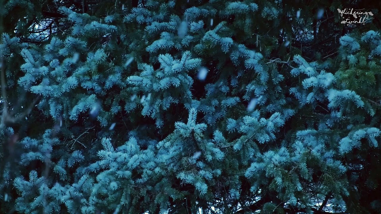 Jingle Bells 7 - Kevin MacLeod | Instrumental Christmas Music | Relaxing  Ambience | Joyeux Noël