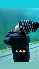 Marion Rousse et Julian Alaphilippe emmène leur fils Nino au zoo.