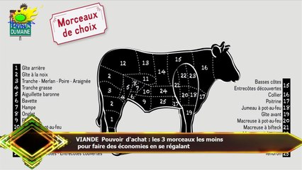 VIANDE Pouvoir d'achat : les 3 morceaux les moins  pour faire des économies en se régalant