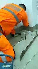 Filhote de gato preso dentro de parede é resgatado pelo Corpo de Bombeiros, em Ipatinga