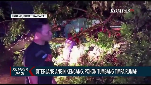 Pohon Tumbang Akibat Angin Kencang, Rumah Warga Rusak, Akses Jalan dan Aliran Listrik Terputus!