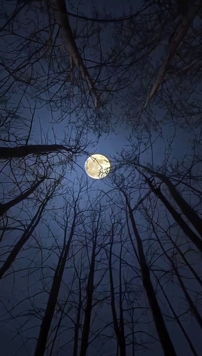 Hunter moon