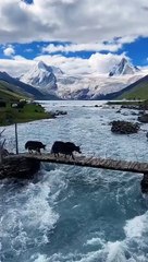 Beautiful Nepal  Village life Nature Beauty