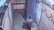 दरभंगा: चोरों की करतूत सीसीटीवी में कैद, एक क्लिक में देखिये वीडियो