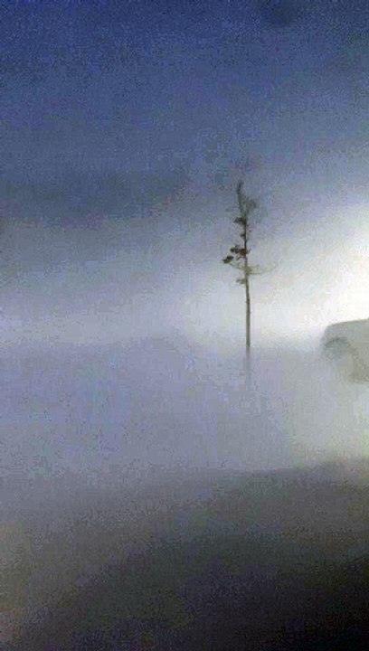 Zero Visibility Snowstorm in Ontario, Canada