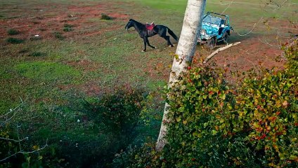 Venganza y Amor Capitulo 1 (Audio Español)   Cesur ve Güzel