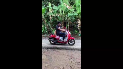 VERY FUNNY CAT VIDEOS TO MAKE LAUGHING BEST FUNNY CAT VIDEOS