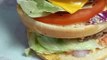Hamburger #foodlover  #foodies #foodie #food #2022 #france #humburger #hamburgers #hamburgersteak #hamburgersauce #cheeseburger #cheeseburgers  #cheese #cheeselover (4)