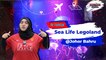Sea Life Legoland Malaysia @ Johor Bahru | BK Travelog | BINTANG KECIL