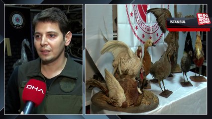 Kadıköy'de lüks villaya tarihi eser operasyonu