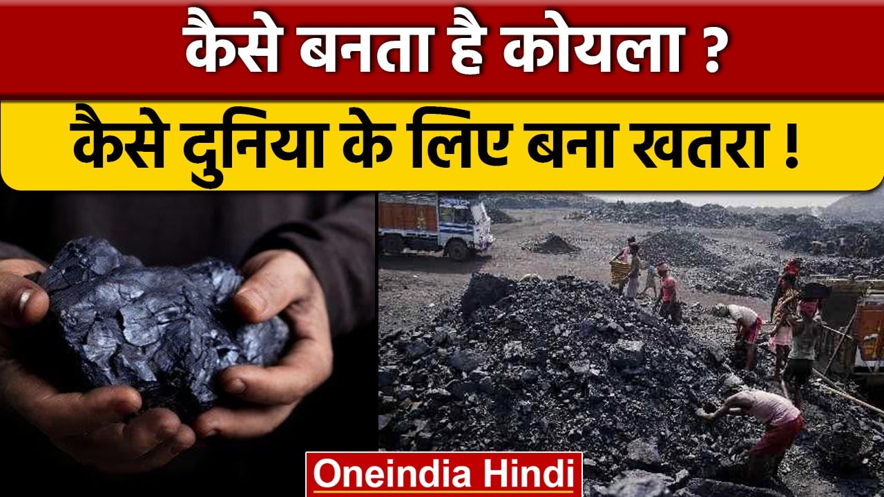 How is Coal Formed: कोयला क्या है, कैसे बनता है, यहां जानें सबकुछ | वनइंडिया हिंदी | *News