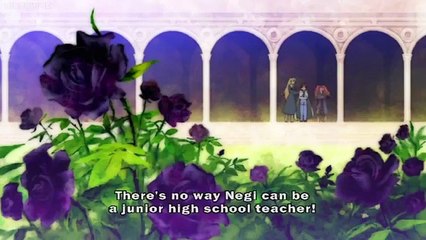 Magister Negi Magi - Se1 - Ep01 HD Watch HD Deutsch