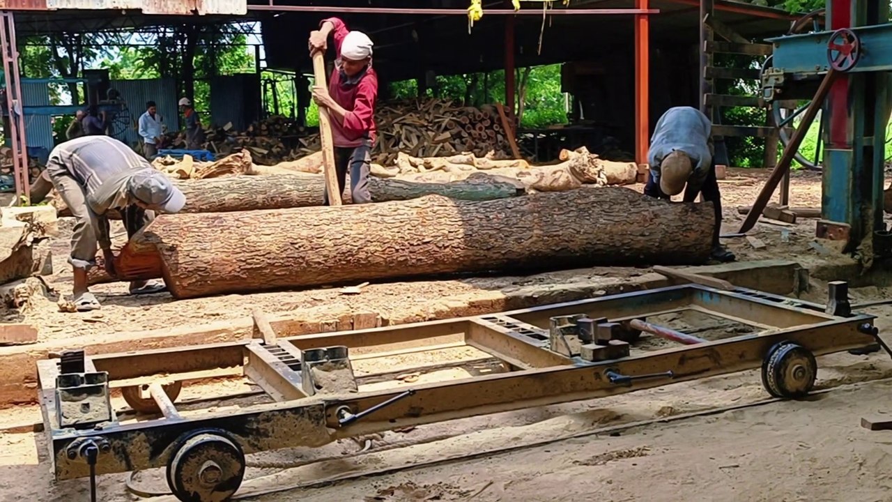 Indian sawmill Woodworking Neem wood cutting horizontal working