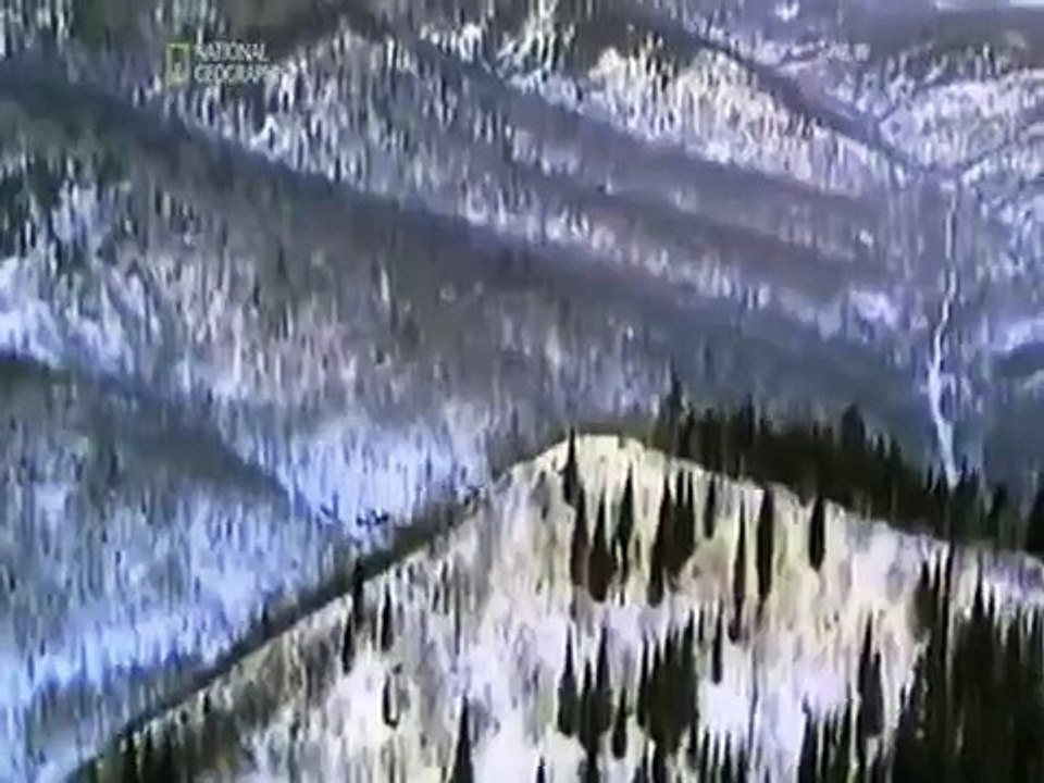 Air Crash Investigation - Se5 - Ep03 HD Watch HD Deutsch