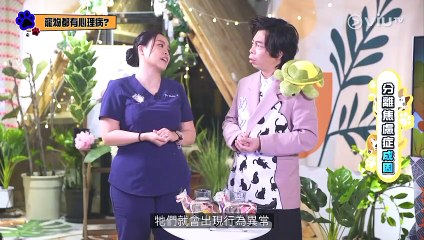 【4K修復】《Dr.Any毛 》EP09｜寵物都有心理病？