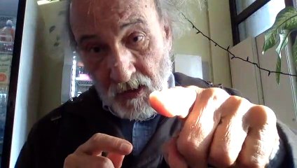 I VOUCHERS E IL MALE MINORE