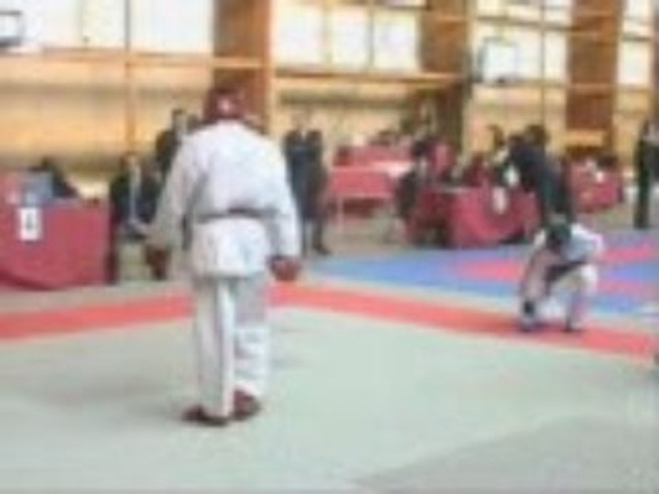 Karaté contact nico zone sud 2005