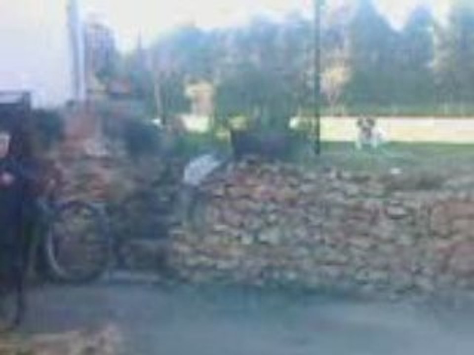 pti stunt délir mdr