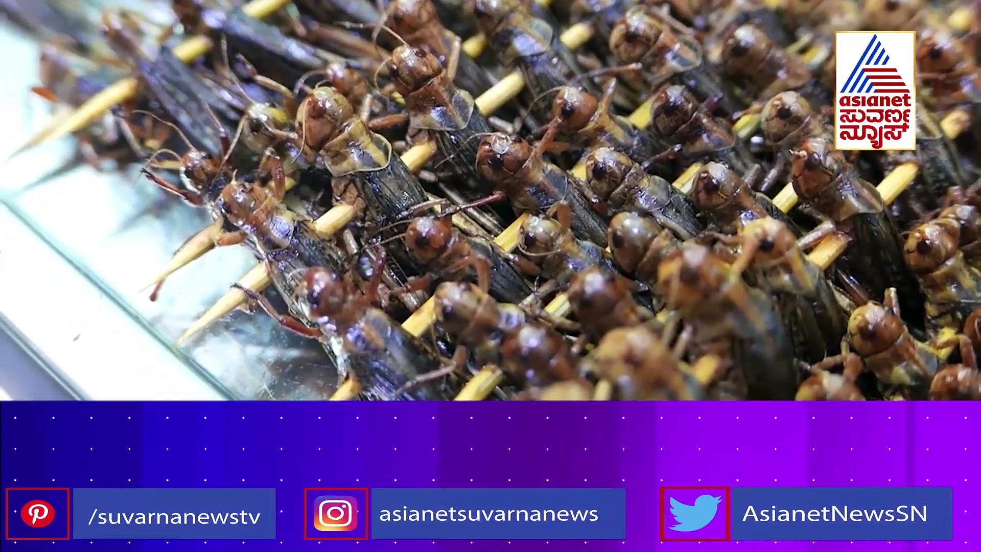 ಕತ್ತೆ ಮಾಂಸಕ್ಕಾಗಿ 'ರಾಕ್ಷಸ' ಕಸರತ್ತು: 'ಚೀನಾ' ನಡೆಸಿದೆ ಭಯಂಕರ ಸಂಚಕಾರ