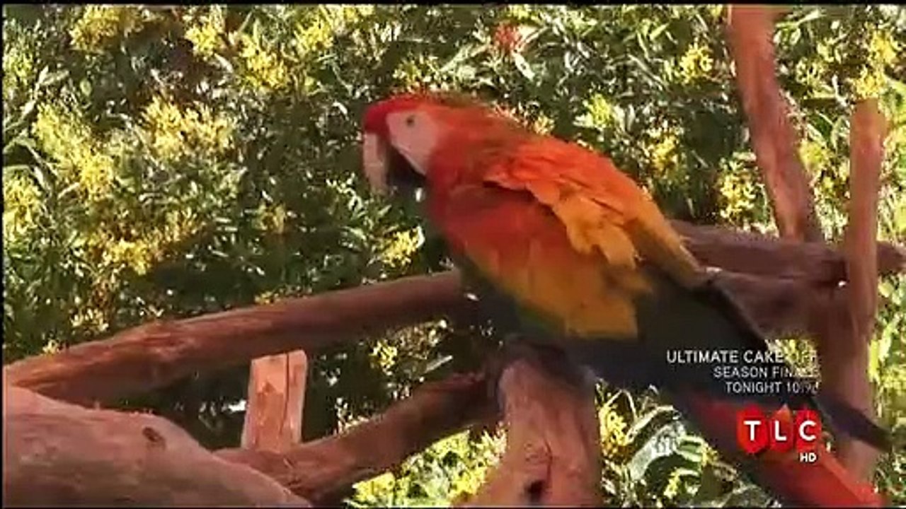 Jon $$ Kate Plus 8 - Se5 - Ep18 HD Watch HD Deutsch