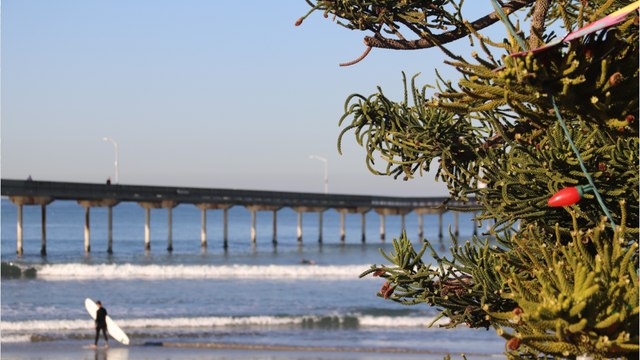 “Goodbye Deutschland”: Trotz Trennung fahren Steff und Peggy gemeinsam in den Urlaub