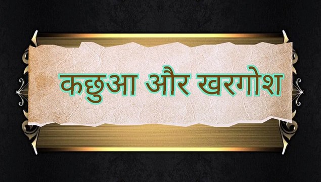 कछुआ और खरगोश की रेस में कौन जीतता है || खरगोश और कछुआ Hindi Kahaniya | Rabbit and Tortoise 3D Hindi Stories for Kids