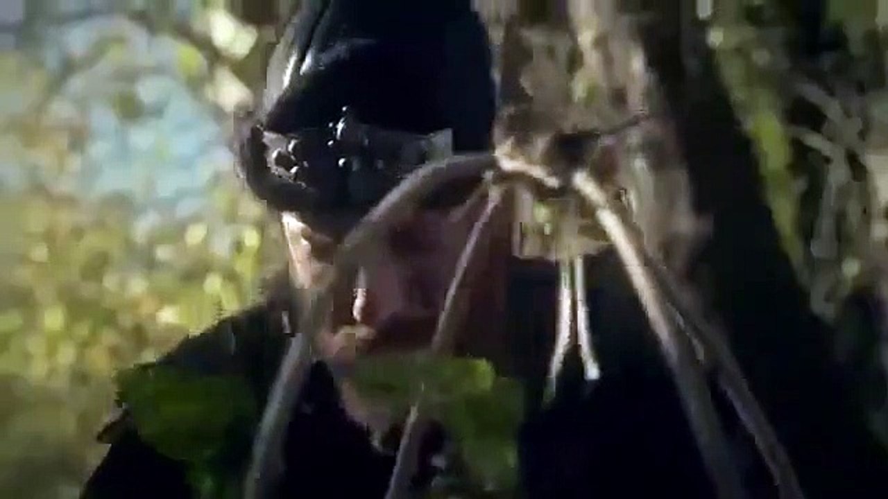 Resurrection - Ertugrul - Se2 - Ep28 HD Watch HD Deutsch