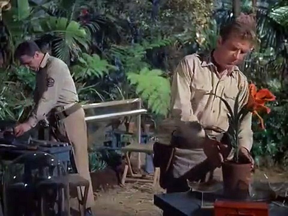 Voyage to the Bottom of the Sea - Se4 - Ep10 HD Watch HD Deutsch