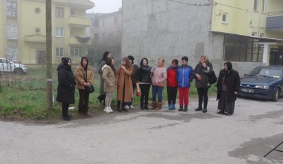 MAHALLELİ, KAYBOLAN KEDİLERİN PEŞİNE DÜŞTÜ