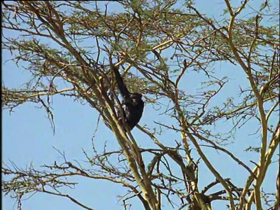 Unser Charly Staffel 3 Folge 3