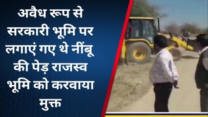 सिरोही : सरकार की इतने बीघा जमीन पर लगाया बगीचा, अब चला प्रशासन का पीला पंजा...