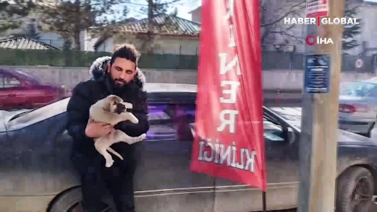 Yavru köpek kafasını öyle bir yere soktu ki bir daha çıkartamadı
