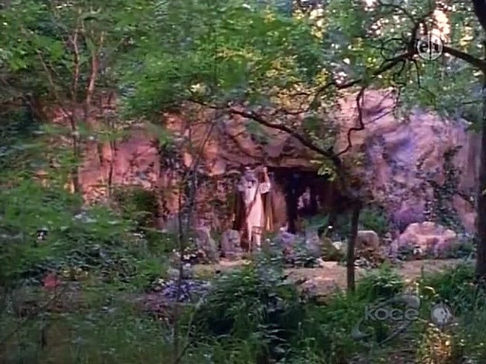 Wishbone - Se1 - Ep32 HD Watch HD Deutsch