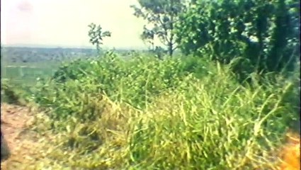 Empat Brewok Dari Goa Sanggreng | Indonesian Old Movie