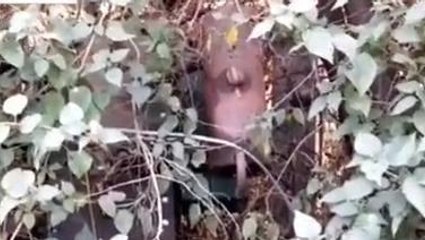 रामपुर बाघेलान:सड़क हादसे को आमंत्रण दे रहा जमीन में गिरा ट्रांसफार्मर