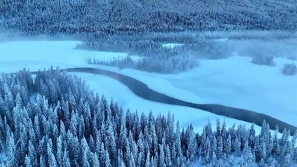 Çin'in Kuzeybatısındaki Xinjiang'da Bulunan Kanas'ta Kış Manzarası